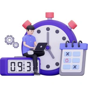 On Time Delivery to Web Development Project